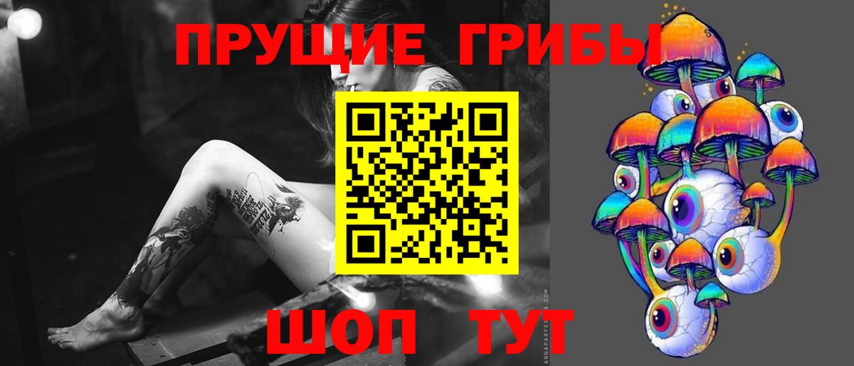 Нефтекумск  Псилоцибиновые грибы мухоморы  Вход с VPN  Псилоцибиновые грибы GOLDEN TEACHER 