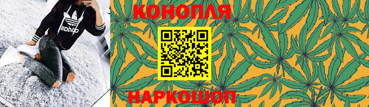 Бошки марихуана SATIVA & INDICA Нефтекумск